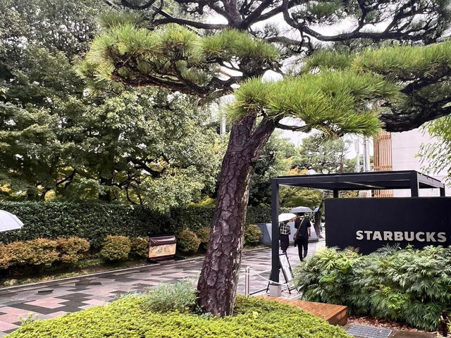 宇治抹茶
