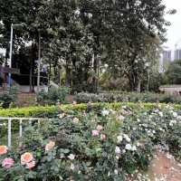 Shenzhen’s Hidden Gem: 人民公园 (People’s Park)