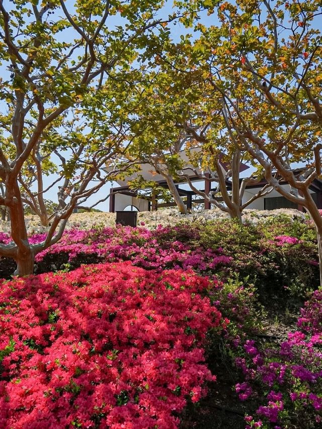 Commemorative Park