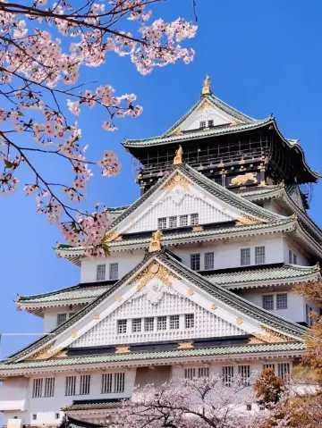 Are the cherry blossoms at Osaka Castle real!
