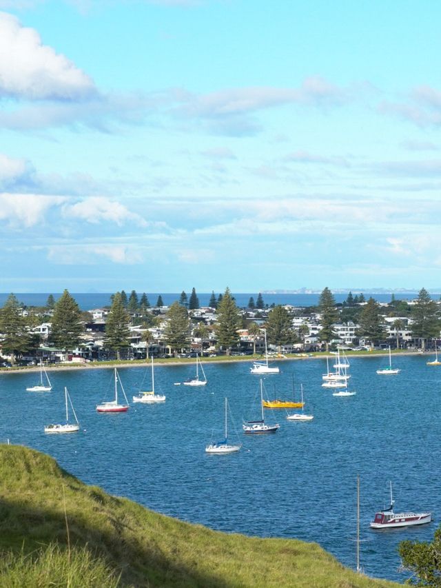 紐西蘭北島｜紐西蘭的藍，有一種叫 Tauranga｜小山丘看見漸層海灣