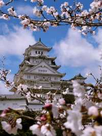 Himeji Castle