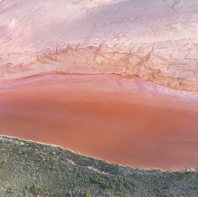 西澳夢幻體驗｜Hutt Lagoon 粉紅湖直升機之旅，全景美得不像話！