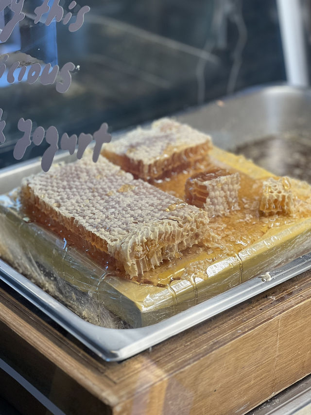 🍂 “작지만 깊은 계절의 맛 – 삼각지 감성카페 ‘도토리’” 