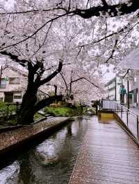 Shukugawa Park