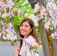 Matsumoto Moments – Castles, Culture & Mountain Calm