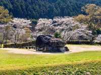 Ancient Vibes and Springtime 