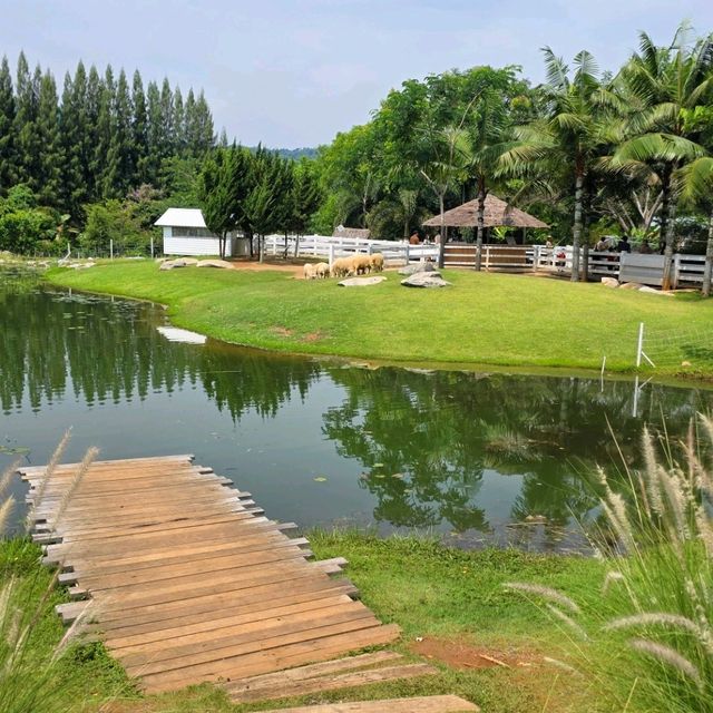Bucolic คาเฟ่ background ภูเขาที่ใครๆก็ต้องมา