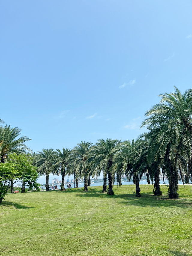 淡水漁人碼頭：吹海風、搭船、踩沙灘的一日悠閒行