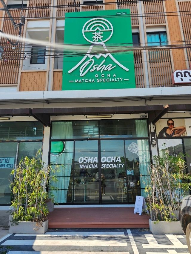 Osha Ocha Matcha Specialty