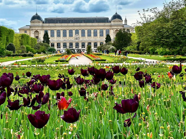 SPRING BLOOMS IN PARIS | JARDIN DES PLANTES