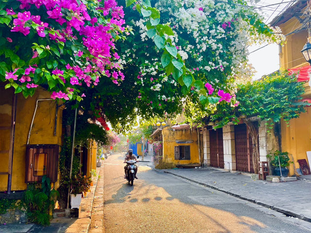 🇻🇳 호이안 사진맛집 올드타운~💕