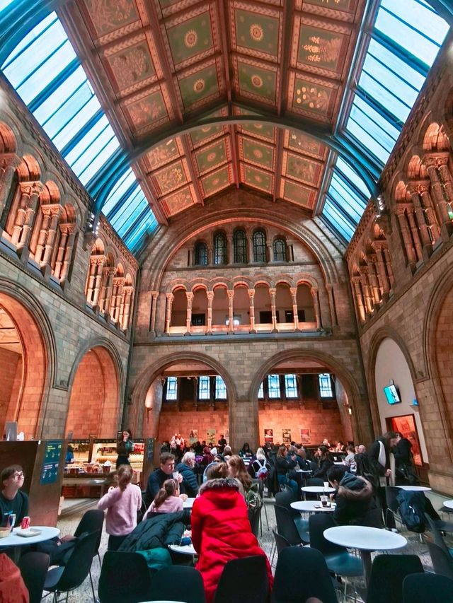 英國自然史博物館🏛人氣恐龍化石，大開眼界（Natural History Museum）