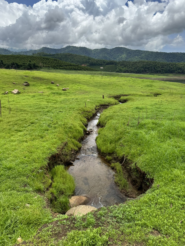 เขื่่อนบ้านลาน จ.เชียงใหม่ ⛰️🌳🌦️🐄