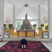 พระพุทธรูปแกะสลักหน้าผาเขาชีจรรย์