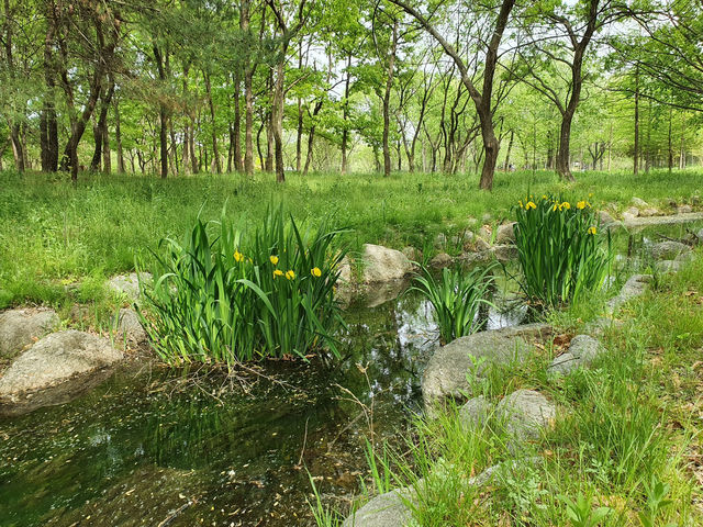 💕 대전 유림공원 데이트코스 추천! 감성 산책하기 딱 좋은 곳