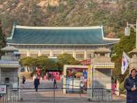 Blue Tiles & Big History: Exploring the Blue House in Seoul