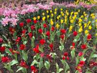Winter Flower Garden, Betong - A Dreamy Floral Wonderland in Southern Thailand