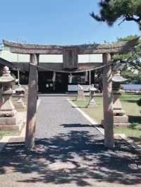 Swan Boats & Sakura Dreams at Tokiwa Park