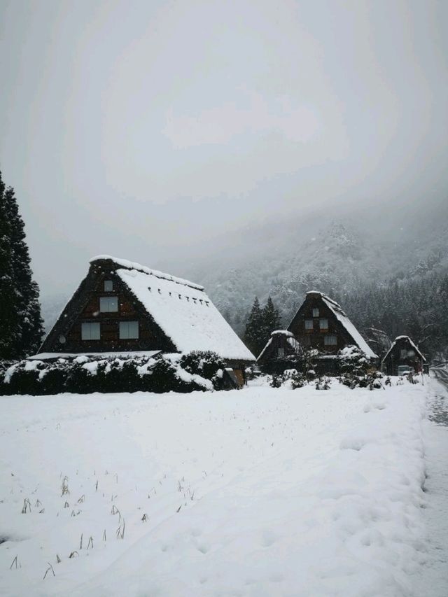 冬天的白川鄉