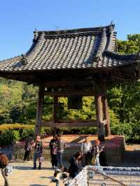 大阪｜被達摩包圍的勝尾寺 鐮倉幕府起將軍都要來求勝的千年古寺