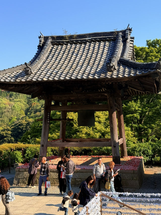 大阪｜被達摩包圍的勝尾寺 鐮倉幕府起將軍都要來求勝的千年古寺