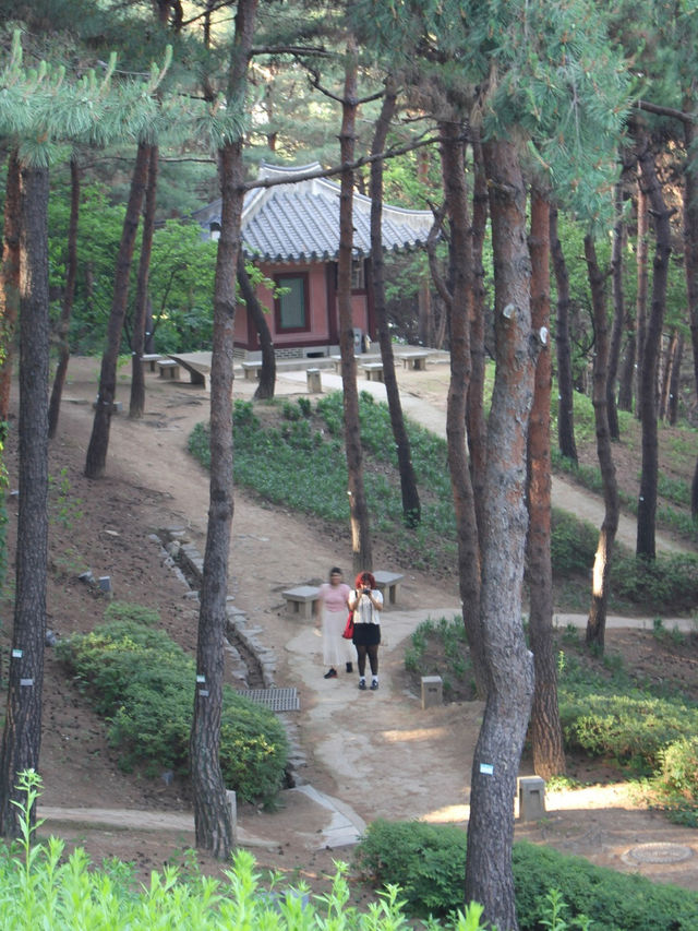 서울 근교, 조용히 시간을 보내고 싶다면 수원