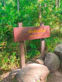 เดินป่าหน้าฝน อุทยานแห่งชาติภูสอยดาว อุตรดิตถ์