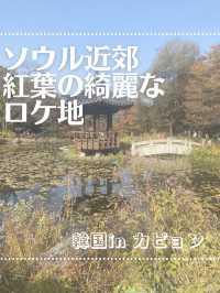 【ソウル近郊】ロケ地によくなる樹木園🌲