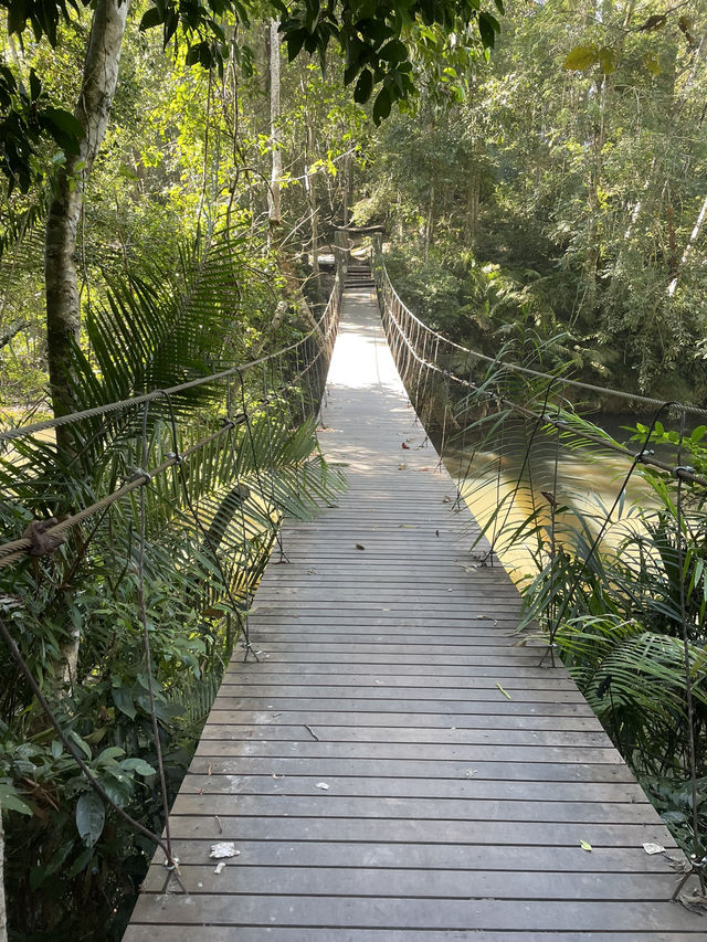 KHAO YAI national park 