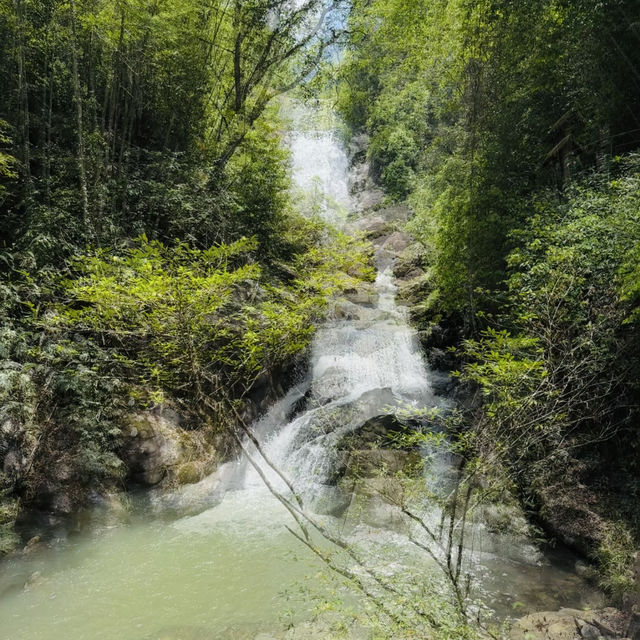 走進增城千龍溝：賞300米銀瀑飛騰，品山野自然之韻