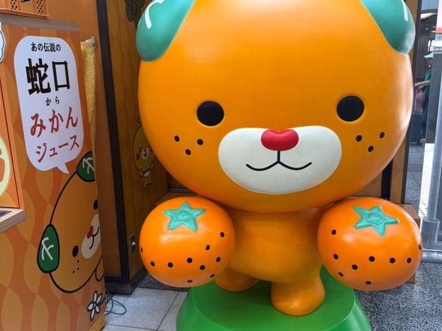 일본 마쓰야마(Matsuyama) 100% 즐기는 코스🍊