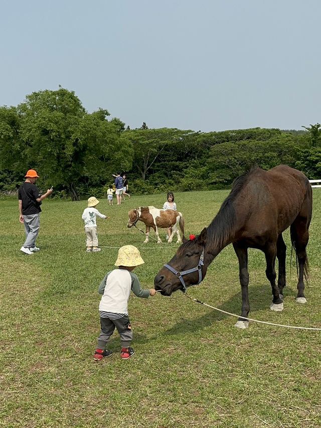 濟州島 Ecoland 生態主題樂園