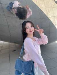 시카코 가볼만한 곳