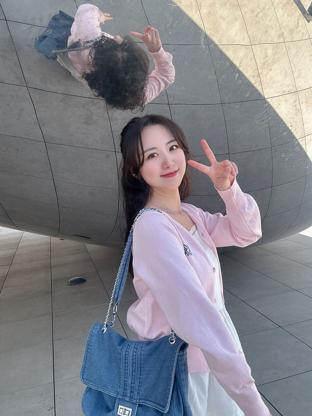 시카코 가볼만한 곳