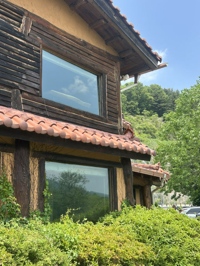 🌿 자연 속 온전한 쉼, 카페 레오나