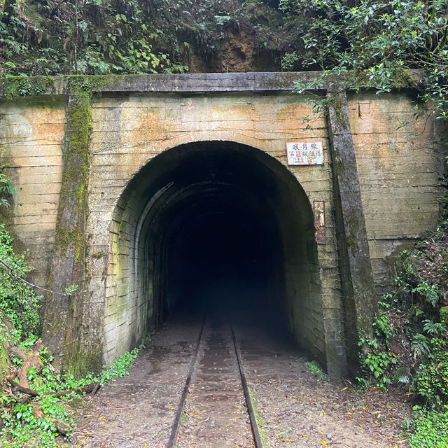 🚶‍♂️阿里山眠月線健行｜沼平車站 ⇄ 石猴車站