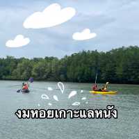 งมหอย เกาะแลหนัง 