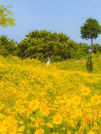 동화 속에 나올것처럼 비현실적이었던 꽃밭💛  