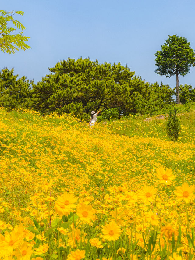 동화 속에 나올것처럼 비현실적이었던 꽃밭💛  