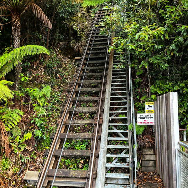 Sydney | Blue Mountains Day Trip 🏞️🚞