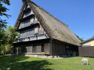 Fukuoka Trip with a Korean Family