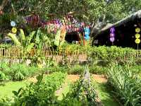 Step Into Serenity: Hòn Thơm’s Secret Garden Path