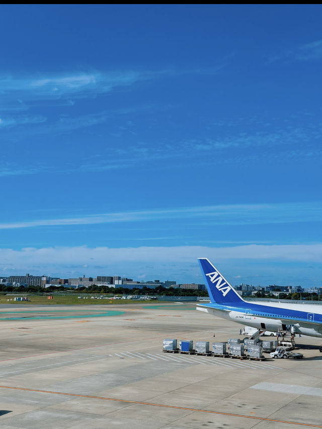 ✈️ 福岡旅の始まりと終わりに！「福岡空港」完全ガイド＆おすすめお土産3選🎁🍜