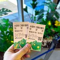 🌄 Sogeumsan Grand Valley | Summer Adventure Guide