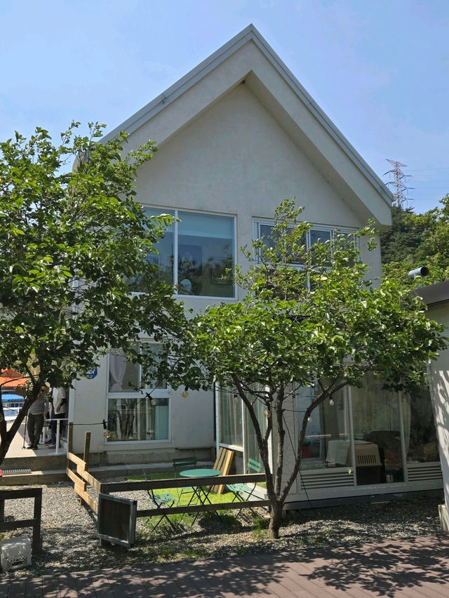 🪼⚓️호수 뷰 카페 양양카페 레이크지움