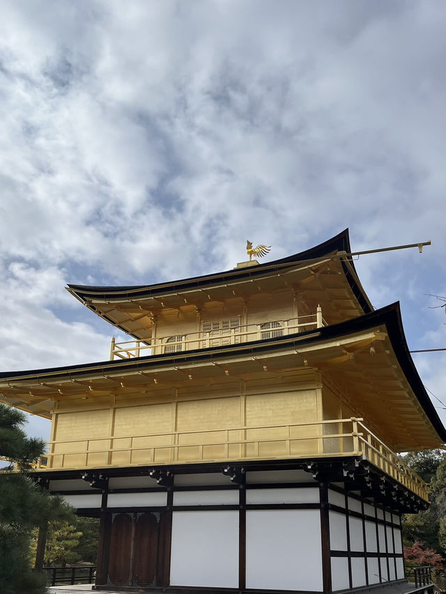 🏯【京都 北山】水面にきらめく、静寂の金色。「金閣寺」で心をととのえる旅🌿✨ 