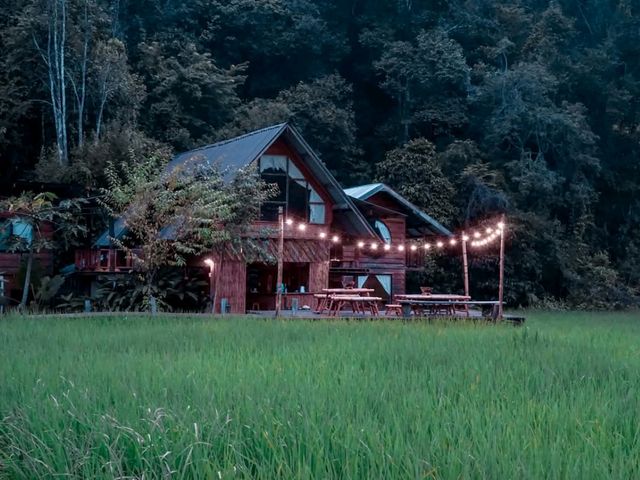 โฮมสเตย์เชียงใหม่...รอบบ้านมีนา🌾 บนฟ้ามีดาว⭐