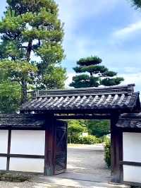Horyu-ji มรดกโลกแห่งนารา งดงามเหนือกาลเวลา