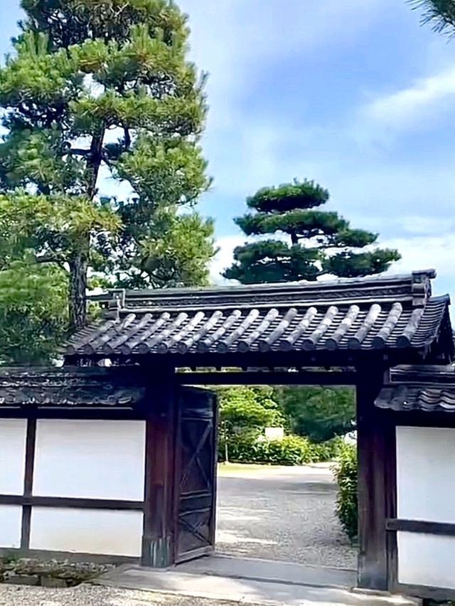 Horyu-ji มรดกโลกแห่งนารา งดงามเหนือกาลเวลา